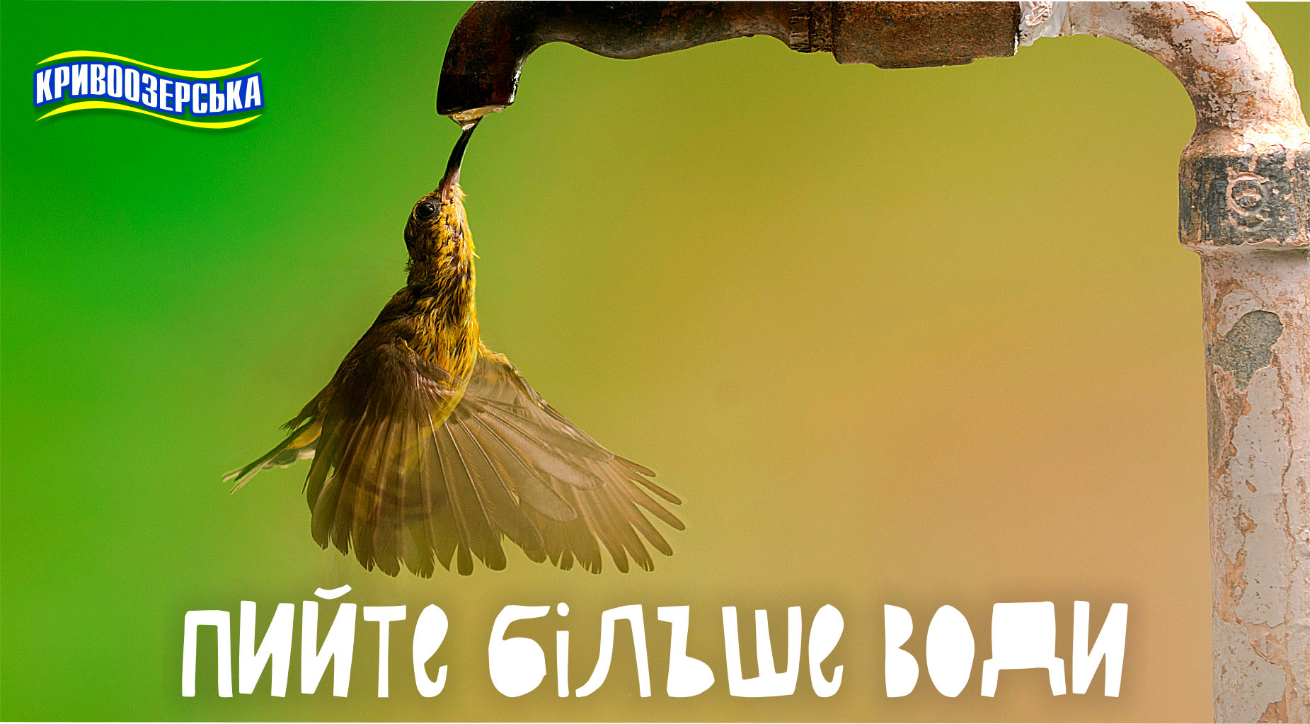 Прев'ю картинка для новини - Пийте бiльше води!